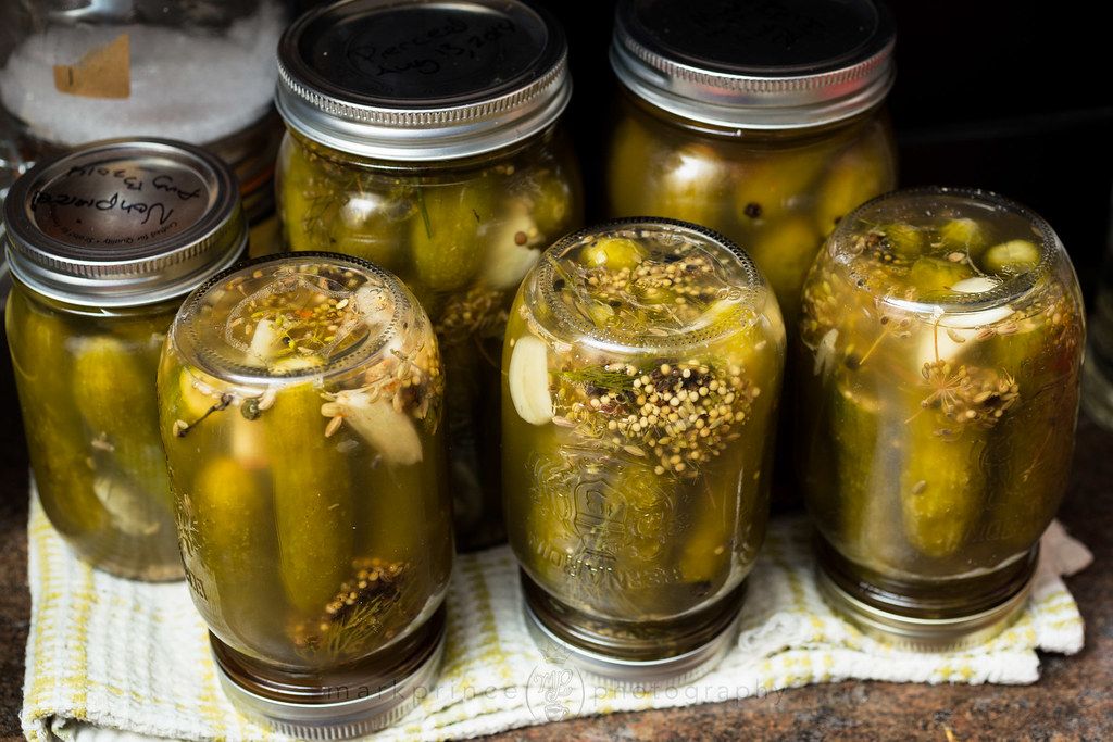 Gut Microbial Greatness: Funky Fermented Foods to Supercharge Your Health