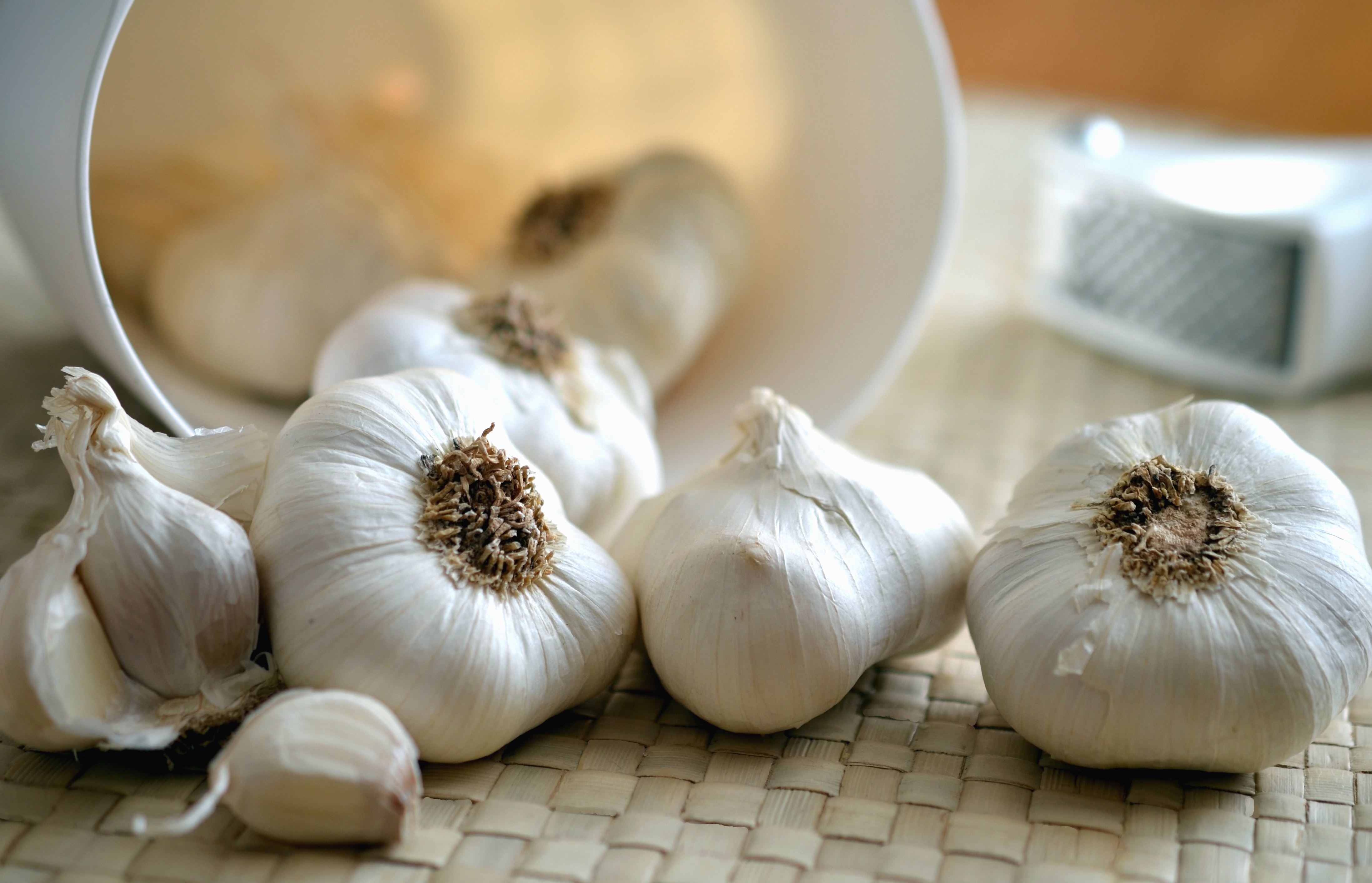 Pop the Garlic or Pop the Prospects: A Risk-Benefit Analysis
