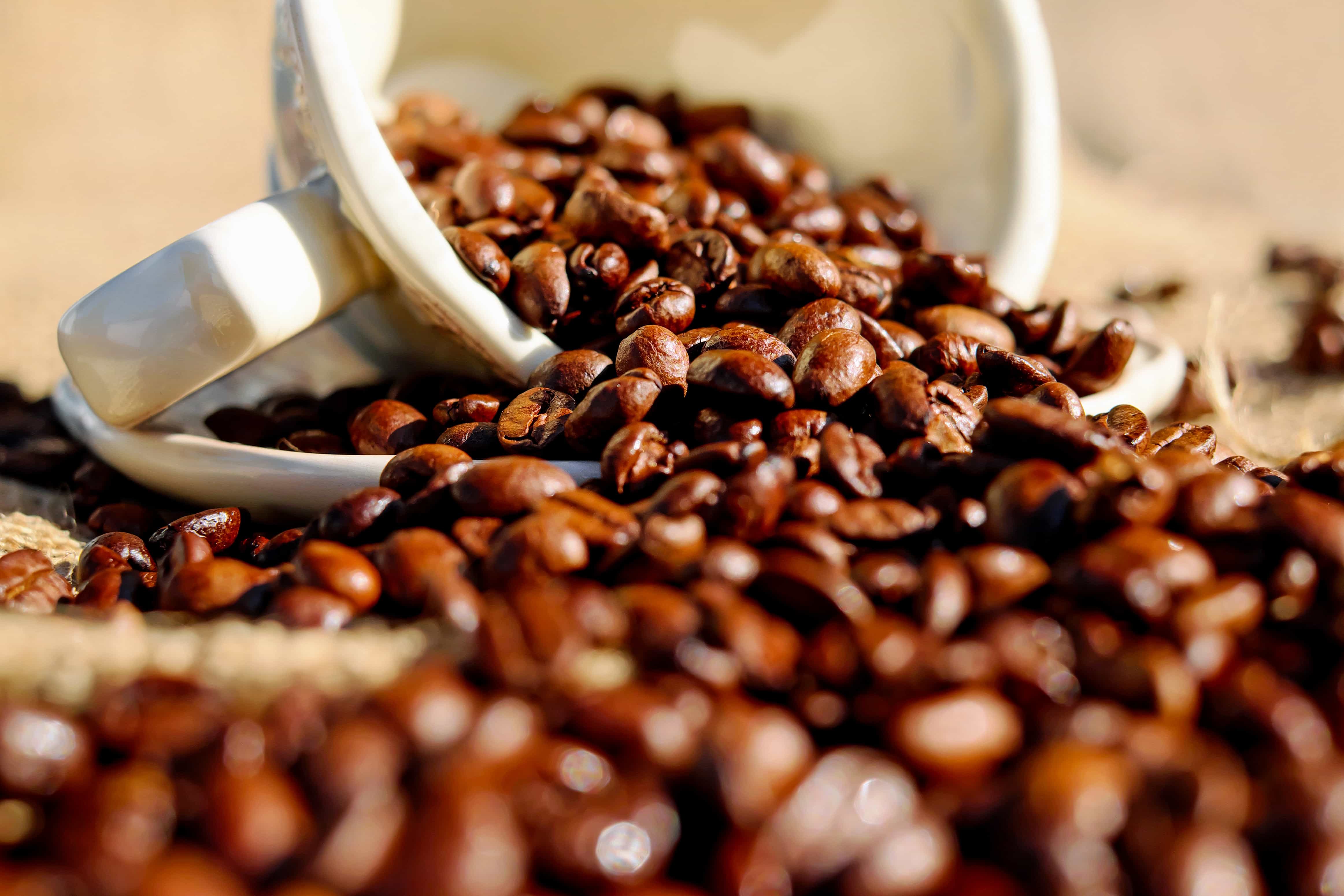 Tame Your Caffeine Demons: The 3:1 Coffee Rule Uncovered