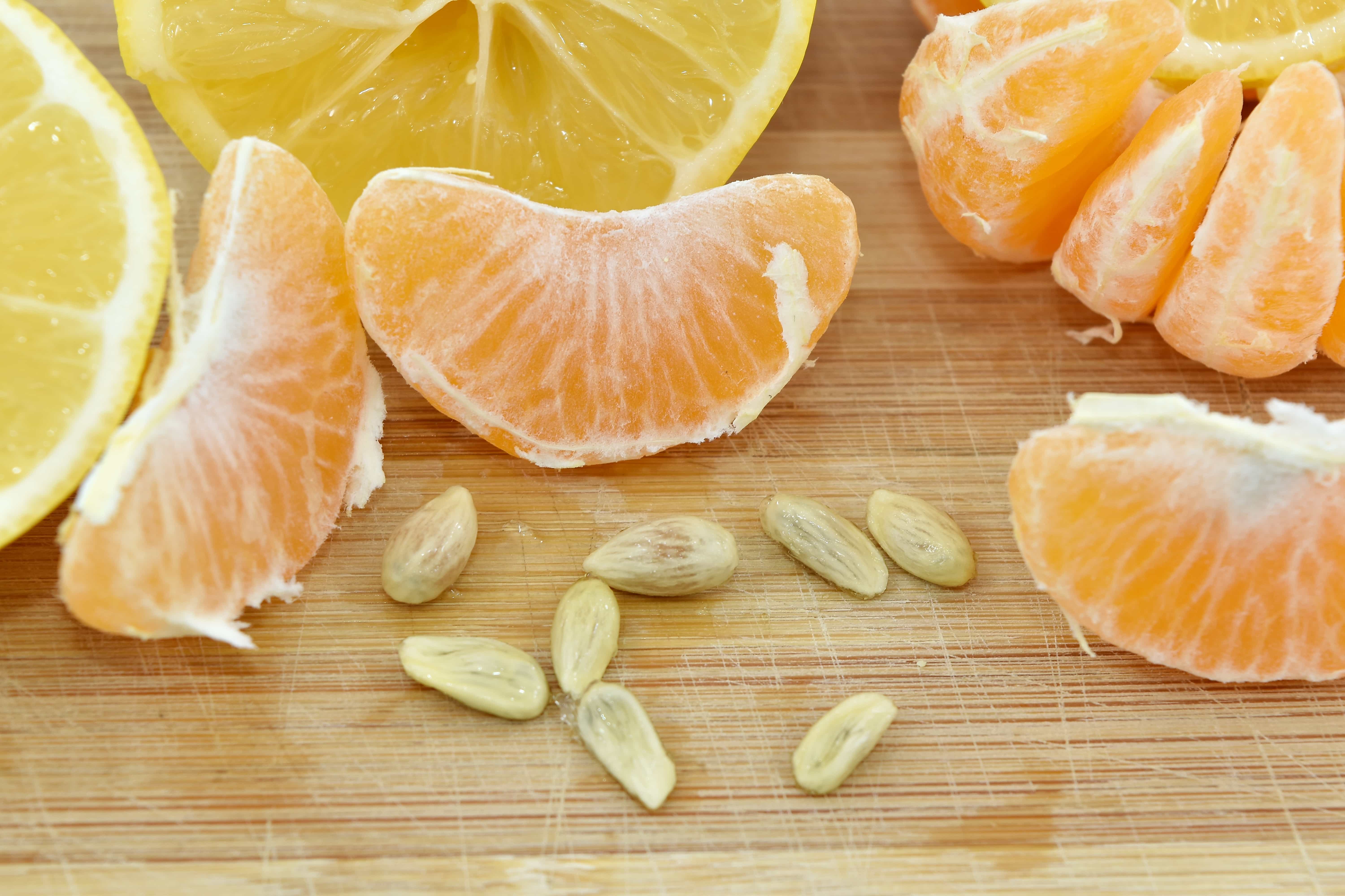 Citrus Madness: Squeeze Your Way to Better Immunity