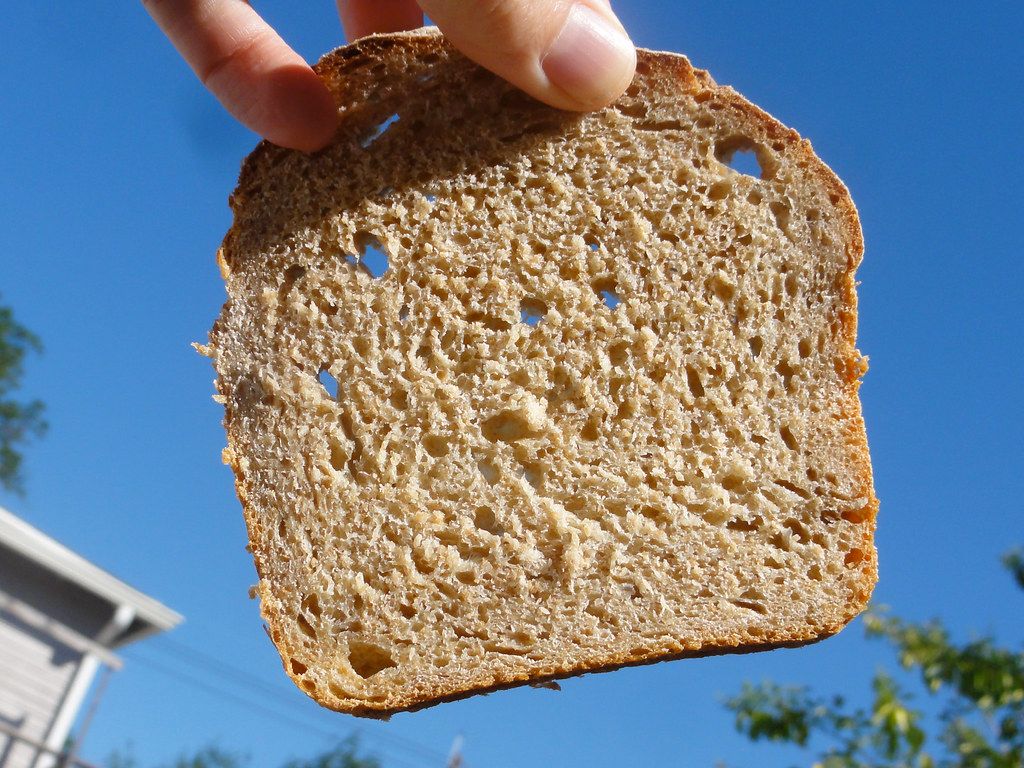 Embrace Whole Wheat or Dig Your Own White Bread Grave