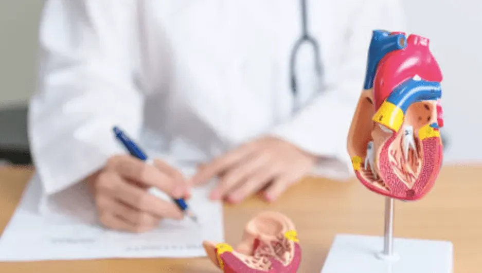 Inhale, Exhale, Lower Blood Pressure: Breathe Your Way to Cardiovascular Health