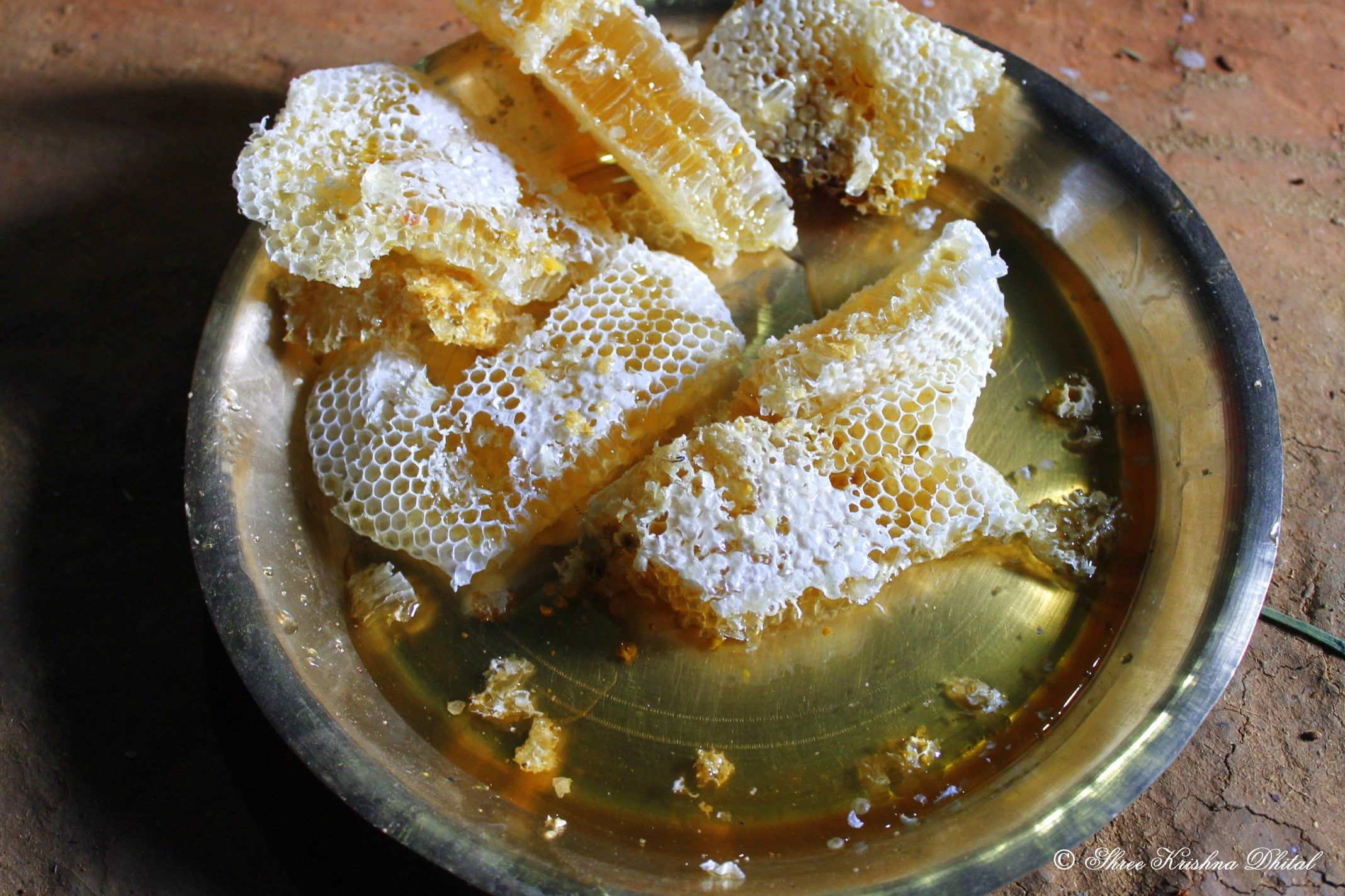 The Sugar-Coated Truth: Honey Vs. Agave