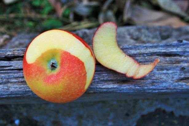 The Secret Life of Fruit Peels: A Treasure Trove of Nutrition