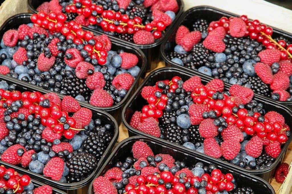 Berry Your Aging Fears: Flavonoid-Rich Foods Are the Secret