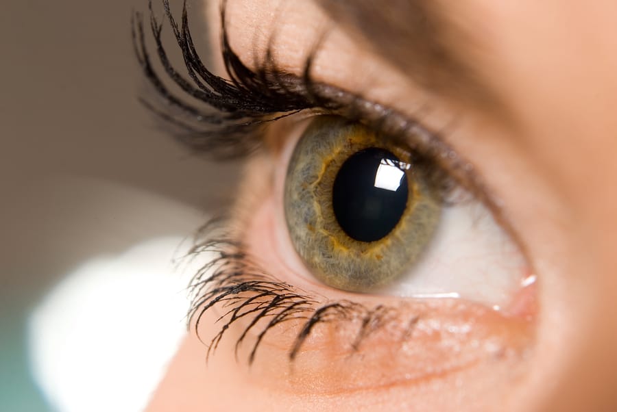 The Truth Behind Your Mysterious Pupil Dilation: No, It's Not Just About Dim Lights