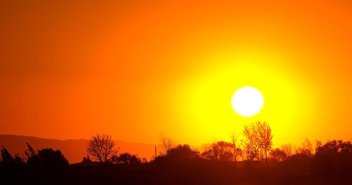 Burn, Baby, Burn: Toasting your Biological Age with Heatwaves