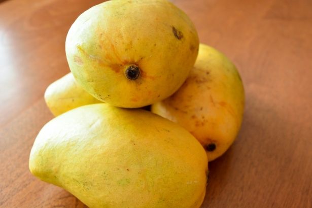 Sugar High: Why Mangoes Could be Your Secret Weapon Against Prediabetes