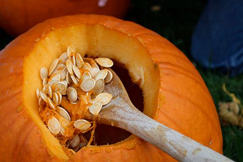 Why Just Carving? Get Creative with Pumpkin for Your Health