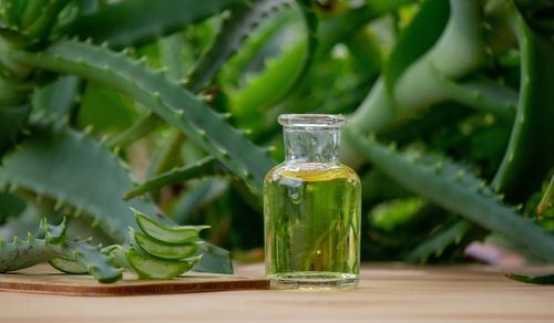 The Good, The Bad, and The Juicy: Unmasking Aloe Vera Juice