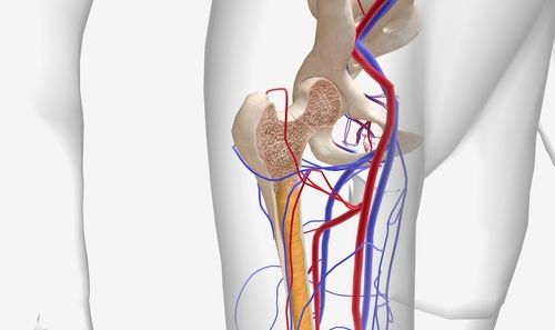 Cracking the Mystery: Early Warning Signs of Multiple Myeloma