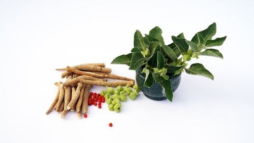 Punching Stress in the Face: The Power Combo of Ashwagandha and Ginseng