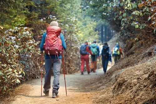 Walk Like a Samurai: Unmasking the Viral Trend of Japanese Walking