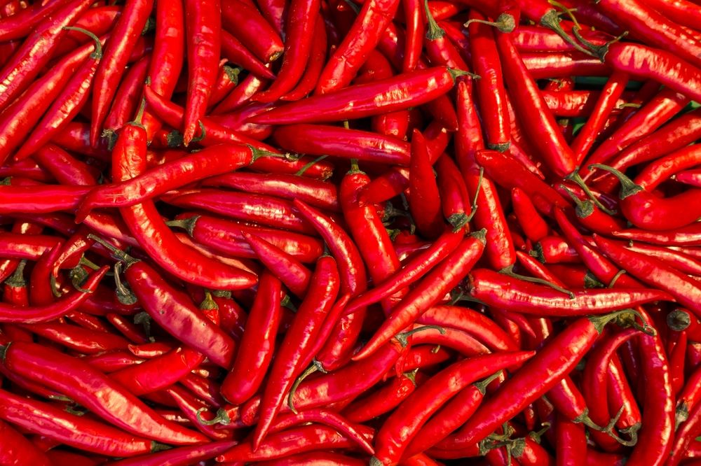 Spice Up Your Life - The Fiery Truth About Spicy Foods