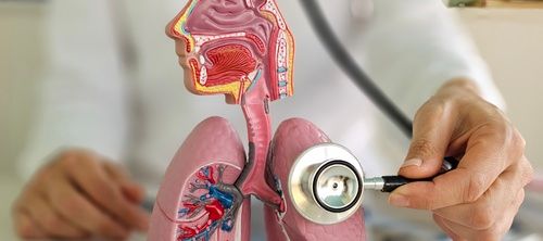 The Absurdly Real Guide to Pneumonia: Because Your Lungs Deserve Better